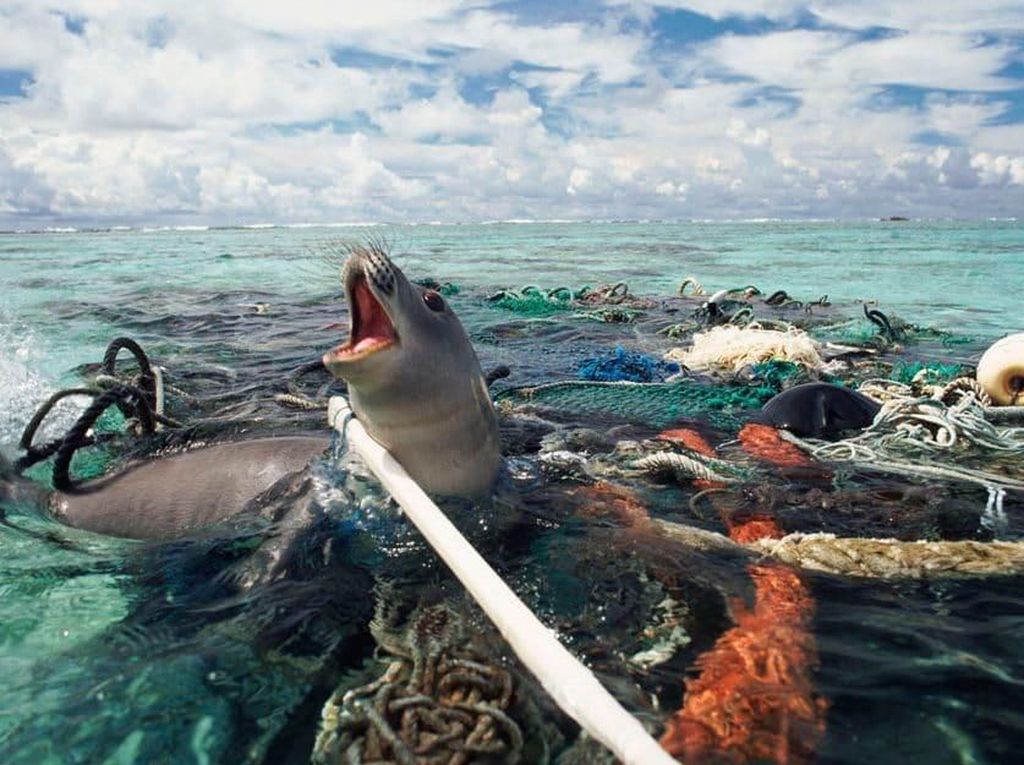 Data Mengerikan soal Sampah Plastik di Lautan