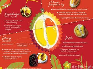 Ini 4 Jenis Durian Khas Kalimantan yang Populer