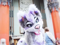 Kamu Tak Akan Sangka Ada Tentara Cantik di Balik Kostum Anjing Raksasa Ini