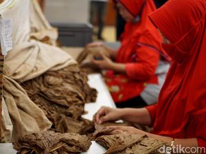 Bea Masuk Impor Tembakau Diusulkan Naik Jadi 15%