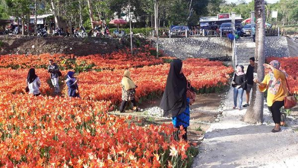Foto: Aneka Pantai hingga Geopark, Ini 7 Wisata Alam di Gunungkidul