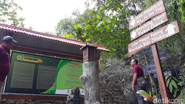 Ayo Liburan! Gunungkidul Punya 73 Km Pantai dan 725 Gua Menawan