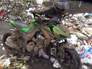 Viral Moge Diambil dari Tempat Sampah, Benarkah?