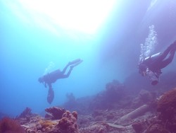 Sampah Sedotan Sepanjang Jakarta-Meksiko Bikin Tenia Bergerak