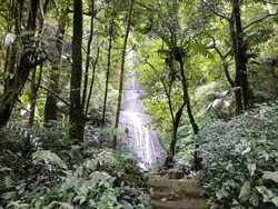 Celebrity on Vacation: Eksplor Curug Jaksa di Taman Safari Bogor