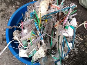 Pemerintah RI Didorong Larang Total Sedotan dan Kantong Plastik Pemerintah RI Didorong Larang Total Sedotan dan Kantong Plastik