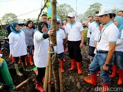 Ciptakan Buffer Zone di TPA Benowo, Ini Harapan Risma