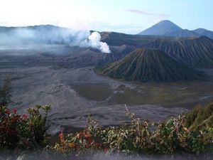 Gunung Bromo Erupsi, Wisatawan Dilarang Mendekat di Radius 1 Km Gunung Bromo Erupsi, Wisatawan Dilarang Mendekat di Radius 1 Km