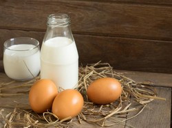 Bolehkah Pengidap Kolesterol Tinggi Mengonsumsi Telur dan Susu? Begini Penjelasannya