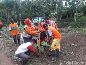 Ribuan Bibit Pohon Ditanam Cegah Longsor di Ponorogo