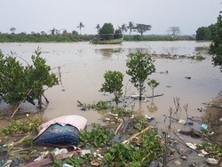 Sampah Berceceran di Teluk Banten, dari Kasur hingga Plastik