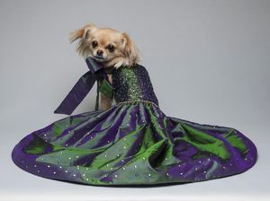 Foto: Deretan Gaun Mewah untuk Anjing yang Harganya Setara Rumah