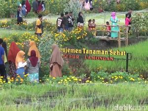 Kunjungan Wisata Libur Nataru 2021 di Lamongan Meningkat Dibanding Tahun Lalu Kunjungan Wisata Libur Nataru 2021 di Lamongan Meningkat Dibanding Tahun Lalu