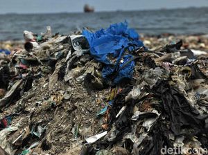 Investigasi Asing Soroti Pengiriman Sampah Kanada ke Indonesia