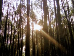 Menyelinap Dan Menerangi