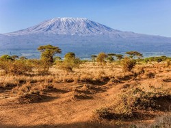 Google Doodle Ingatkan Perubahan Iklim di Hari Bumi
