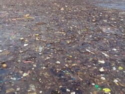 Dukung Pergub Larangan Kantong Plastik, Walhi: Harus Diperluas