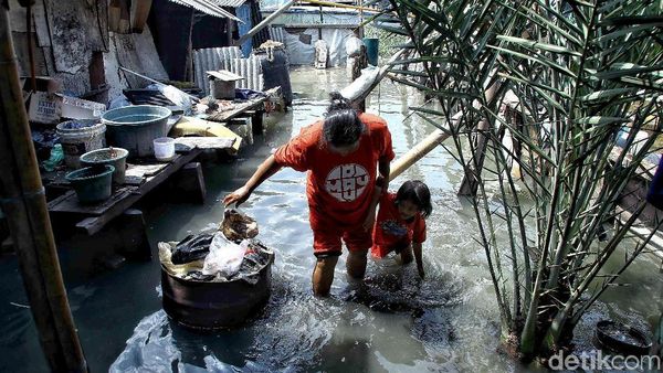 Banjir Rob Rendam Pemukiman Nelayan di Muara Angke