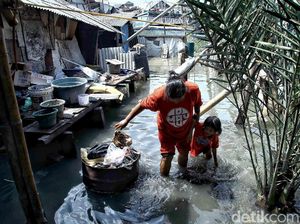 Banjir Rob Rendam Pemukiman Nelayan di Muara Angke