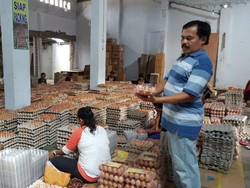 Peternak Unggas Blitar Mengaku Terbantu dengan Kebijakan Kementan