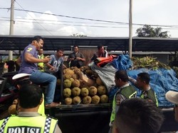 Bawa Paket Durian Berisi Sepeda Motor Curian, Hari Ditangkap