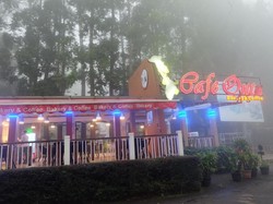 Nikmat, Santap Roti Panda dengan Nuansa Pegunungan yang Sejuk