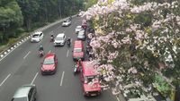 Foto: Saat Jalanan Surabaya Serasa Seperti di Jepang