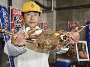 Pecahkan Rekor! Kepiting Asal Jepang Ini Dilelang Seharga Rp 256 Juta