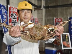 Pecahkan Rekor! Kepiting Asal Jepang Ini Dilelang Seharga Rp 256 Juta