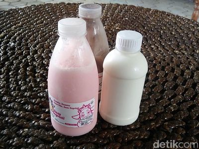 Foto: Belanja Oleh-oleh Keju dan Susu Asli Boyolali