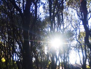 Flare morning in Papandayan