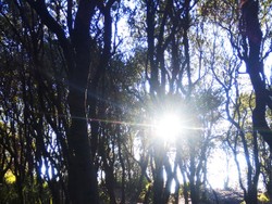 Flare morning in Papandayan