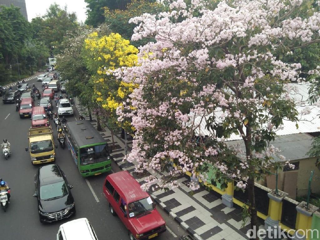 Guangzhou Award yang Diincar Surabaya dan Gengsi Kota-kota di Dunia Guangzhou Award yang Diincar Surabaya dan Gengsi Kota-kota di Dunia