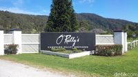 Foto: Tempat Sarapan Paling Indah di Kebun Anggur Australia