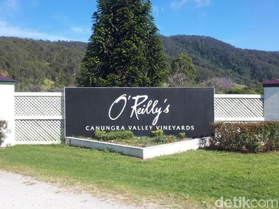 Foto: Tempat Sarapan Paling Indah di Kebun Anggur Australia