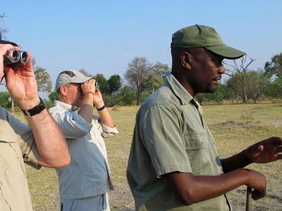 Foto: Jalan Kaki Membuntuti Singa di Afrika, Berani?