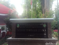 Pemprov Jabar Ajukan Perluasan Tahura Sampai Gunung Manglayang