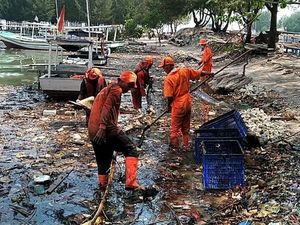 DLH DKI Bersihkan Sampah yang Diduga Bikin Penyu di Pulau Pari Mati DLH DKI Bersihkan Sampah yang Diduga Bikin Penyu di Pulau Pari Mati