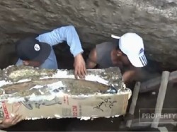 Gempar! Penemuan Gading Gajah Purba Raksasa di Ngawi