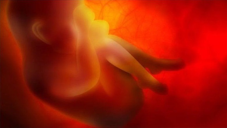 Ngaku Membuat Bayi Hasil Rekayasa Genetika, Ilmuwan China Bangga