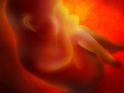 Apa Itu Pewarisan Sifat Makhluk Hidup? Gen, Kromosom dan Prosesnya