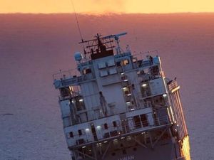 Kapal Pengangkut Oleng, 4.000 Ternak Batal Dikirim Ke Timur Tengah