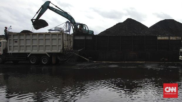 Aktivitas bongkar muat batubara di Pelabuhan KCN Cilincing, Jakarta, Rabu, 28 November 2018. Direktur Jenderal Mineral dan Batubara Kementerian Energi dan Sumber Daya Mineral (ESDM) Bambang Gatot Ariyono mengatakan Penerimaan Negara Bukan Pajak atau PNBP subsektor mineral dan batu bara (minerba) per 16 November 2018 mencapai Rp 41,77 triliun. Jumlah tersebut melebihi target yang ditetapkan yaitu sebesar Rp 32,1 triliun. CNN Indonesia/Adhi Wicaksono