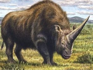 Ternyata Ini Penyebab Punahnya Badak Purba Raksasa Unicorn