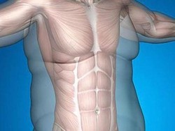 Mau Turun 2.2 Kg Sehari? Gunakan Penghancur Lemak Ini