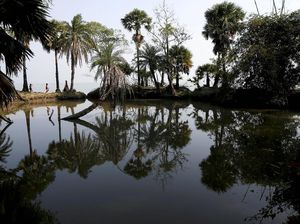 Potret Kehidupan Warga Pulau Ghoramara yang Terancam Hilang
