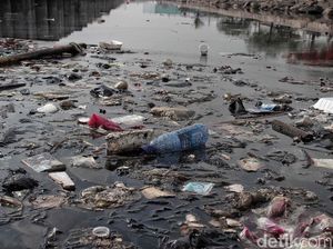 Bikin Miris, Pelabuhan Muara Baru Masih Banyak Sampah