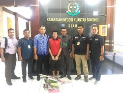 Pembunuh Harimau Bunting Dihukum 3 Tahun Penjara
