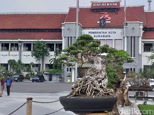 Dirut RPH Surabaya Ajukan Pengunduran Diri, Ada Apa?