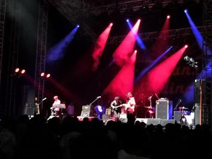 Elephant Kind Kenalkan Personel Baru di Konser Franz Ferdinand